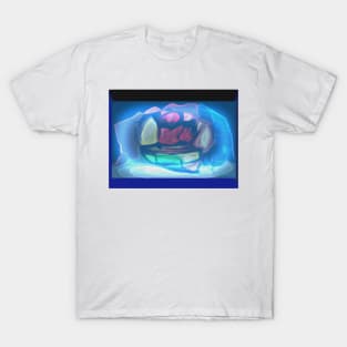 Boat attempt T-Shirt